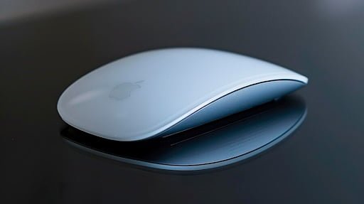 Apple mouse